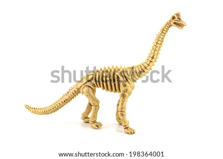 Pachycephalosaurus fossil skeleton toy isolated on white.