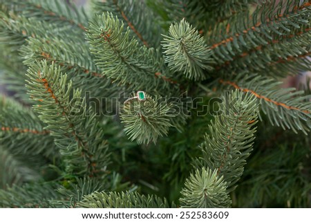 Engagement emerald ring on a fir tree