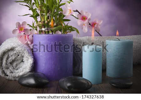 Composition with lucky bamboo candles spa concept