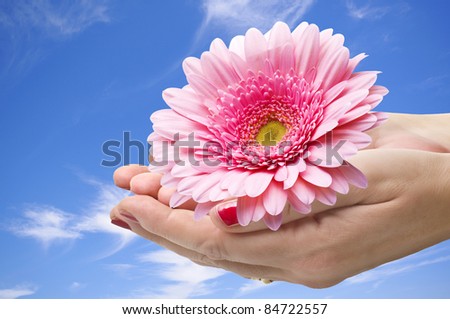 Flower in the hands in the sky background