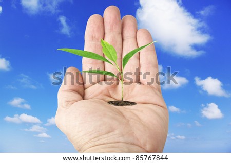 Open hand with plant in the sky background