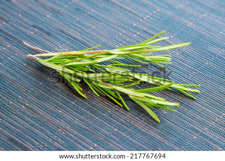 Fresl green Rosemary bound on the table
