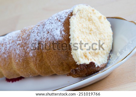 Homemade Cake tube cone covered with sugar powder