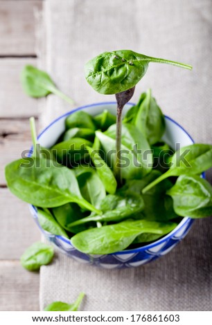 Baby spinach in a blue ceramic bowl on a wooden background with a separate leaf on a fork