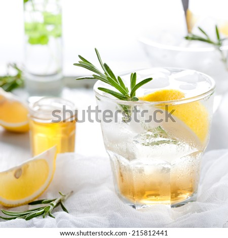 Gin,lemon, rosemary fizz, cocktail with honey and fresh herbs on a white background.