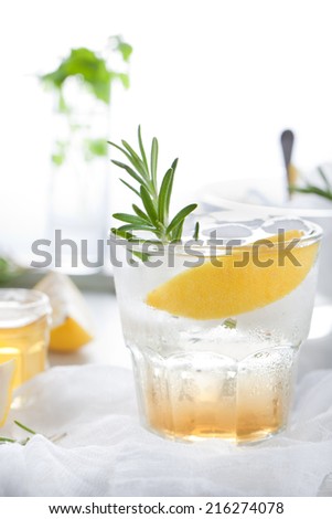Gin, tonic, lemon, rosemary fizz, cocktail with honey and fresh herbs on a white background.