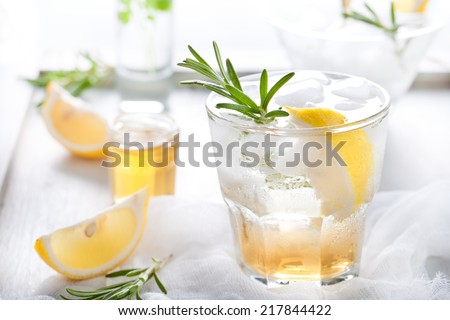 Gin,lemon, rosemary fizz, cocktail with honey and fresh herbs on a white background. - stock photo