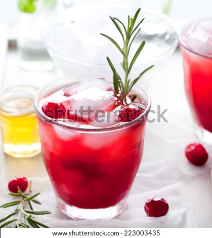 Cranberry, rosemary, gin fizz, cocktail with honey, berries on a white background