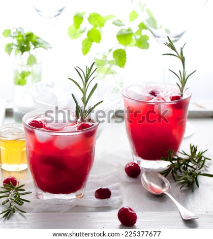 Cranberry, rosemary, gin fizz, cocktail on a white background