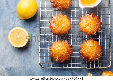Lemon muffins cakes, financiers on a cooling rack Blue stone background Top view
