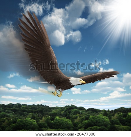 Falcon flying above forest