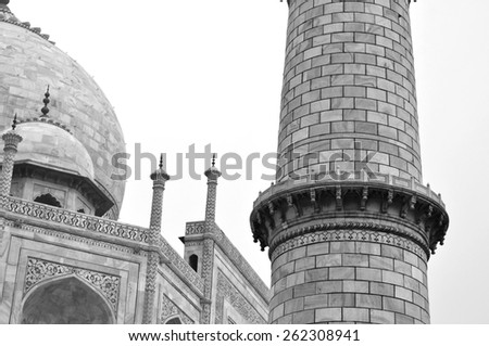 Taj Mahal in Agra - India - black and white photo