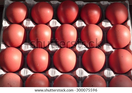 Colorful eggs for holiday easter or just for fun - conceptual idea