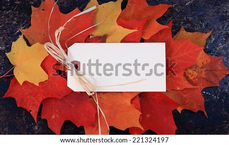 Autumn, fall or Thanksgiving background. Blank cream tag with copy space, on top of red, orange and yellow maple leafs. Use your own text.