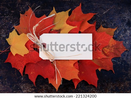 Autumn, fall or Thanksgiving background. Blank cream tag with copy space, on top of red, orange and yellow maple leafs. Use your own text.