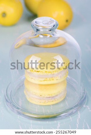 Gentle colorful macaroons in glass bell jar
