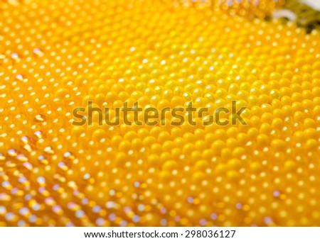 Yellow little pearls background or texture . Small beads background