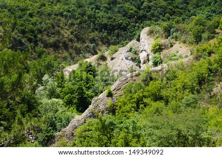 Big Rock in mountain wood in Sokobanja