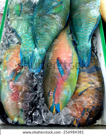 Colorful parrot fish on ice in a Chinese fish market