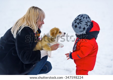 Mother with the son play with a puppy of the Welsh Corgi on snow to a glade
