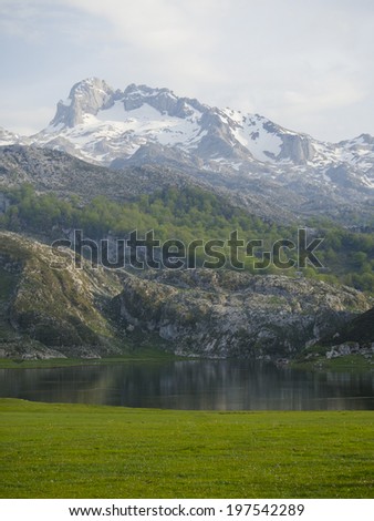 Mountain lake with snowy mountain at background, view ot the Ercina lake on the national park of the Picos de Europa en Asturias - Spain,