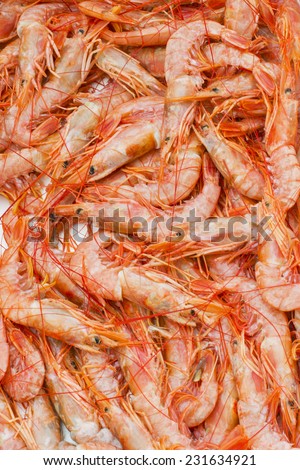 caught shrimp, seafood, fishing, food, cuisine, shellfish