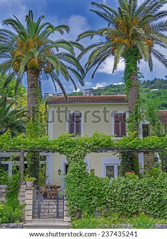 house in the green, palm, herbs, Real Estate
