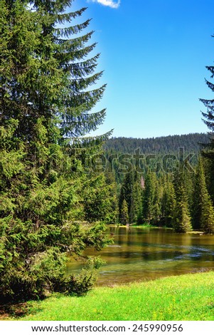 Lake in the forest glade coniferous forest sky
