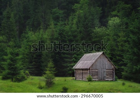 lonely wooden haynka in the middle of pine forest glade Carpathian forests europe