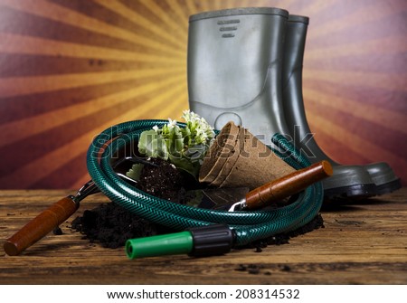 Garden boots with tool, plant