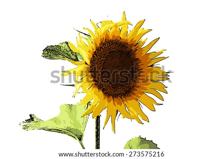 vector illustration beautiful bright flower sunflower bright summer day