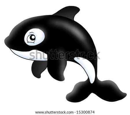 whale pictures to color. stock photo : Killer whale on