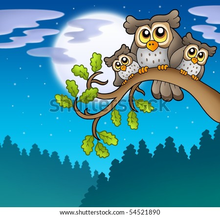 stock photo : Cute owls on branch at night - color illustration.
