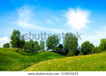 hill landscape with trees green grass, white flowers, sun and blue sky