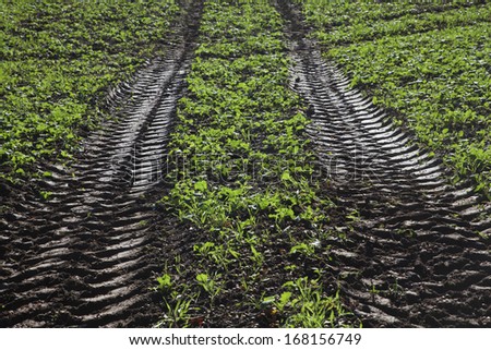 Tire tracks in muddy field