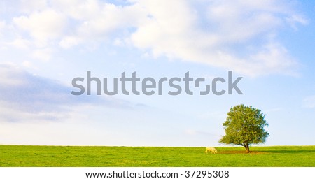 Idyllic meadow with tree