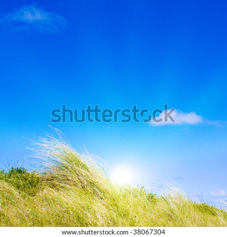 Idyllic dunes with sunlight