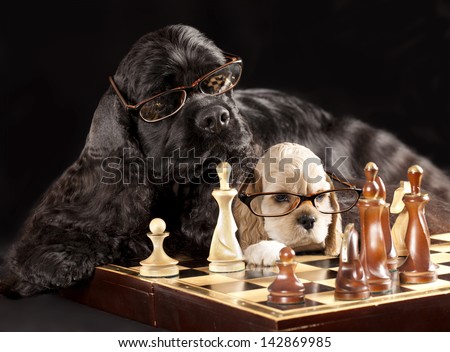 dog with glasses playing chess