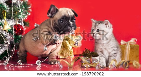 Kitten And Puppy, Holiday Decorations