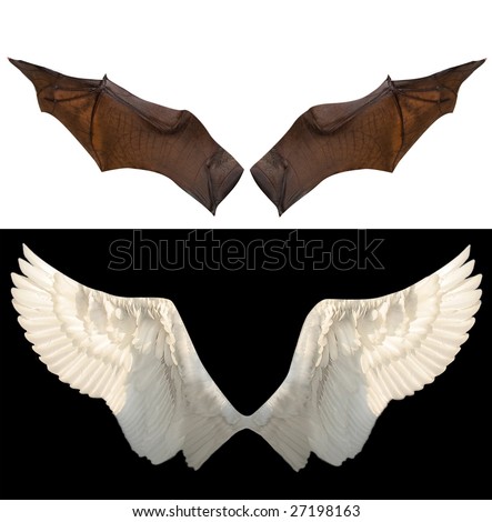 stock photo devil and angel wings