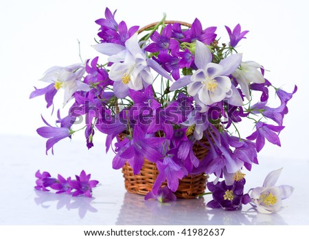 bouquet of flowers bells