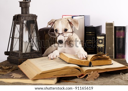 Books Dogs
