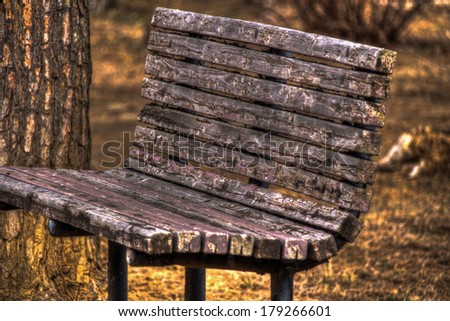 Old two bench in an urban park