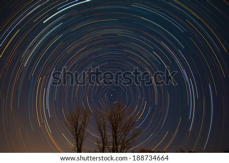 Polaris and star trails over the trees