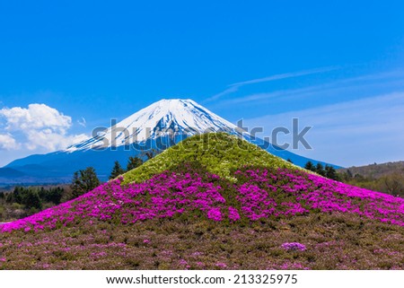 Monument of moss phlox flowers Mt. Fuji and Mount Fuji