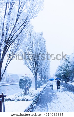 Snow, snow scene, covered with snow in Japan