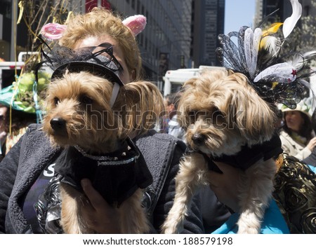 NEW YORK, NEW YORK Ã¢Â?Â? APRIL 20 2014: Dogs dressed up for the Easter Bonnet Parade on 5th Avenue.