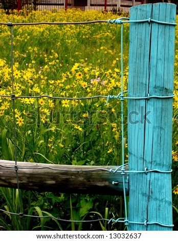 Fence post and wildflowers