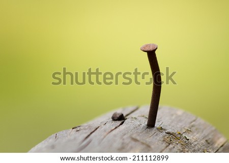 Closeup of rusty nail in wood