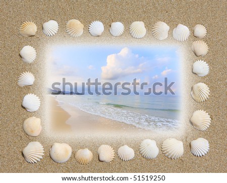 sea holiday sand and shells background
